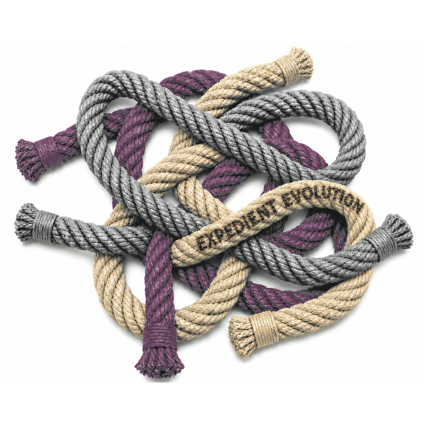 Interwoven rope strands illustration for the Expedient Evolution chapter.